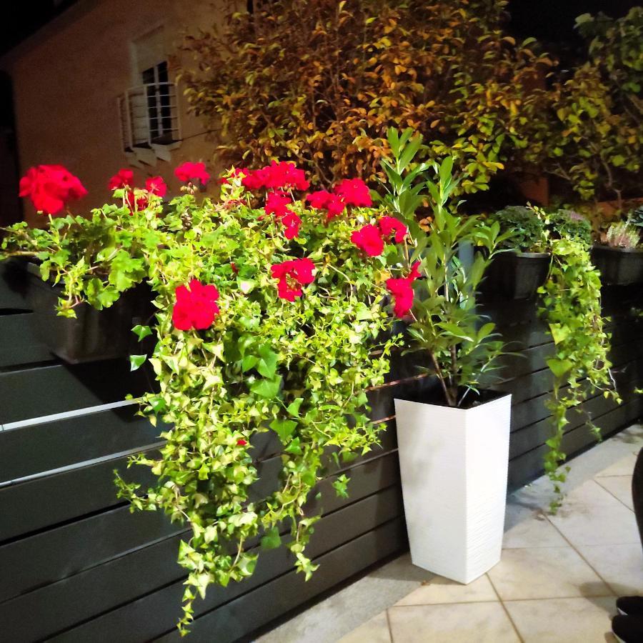 Sweet Home Apartment ماريبور المظهر الخارجي الصورة